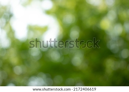 Green light bokeh nature background.Abstract blurred nature background with bokeh for creative designs.