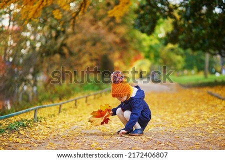 Adorable preschooler girl enjoying nice and sunny autumn day outdoors. Happy child gathering autumn leaves in Paris, France. Outdoor fall activities for kids Royalty-Free Stock Photo #2172406807