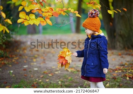 Adorable preschooler girl enjoying nice and sunny autumn day outdoors. Happy child gathering autumn leaves in Paris, France. Outdoor fall activities for kids Royalty-Free Stock Photo #2172406847