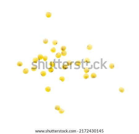 Millet groats isolated on a white background. Close-up Royalty-Free Stock Photo #2172430145