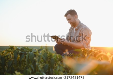 Agronomist inspecting soya bean crops growing in the farm field. Agriculture production concept. young agronomist examines soybean crop on field in summer. Farmer on soybean field Royalty-Free Stock Photo #2172431475