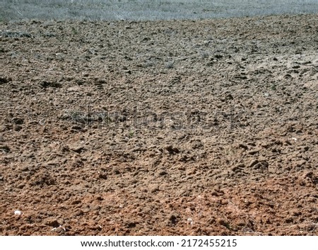 Agriculture and soil science. Autumn harrowed field at springtime, chestnut soil, humus-accumulated 2% horizon  Royalty-Free Stock Photo #2172455215