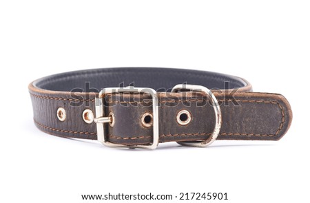 Old leather dog-collar isolated over the white background, side view