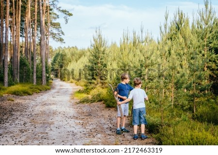Summer activity for inquisitive children. Siblings Walking In Forest