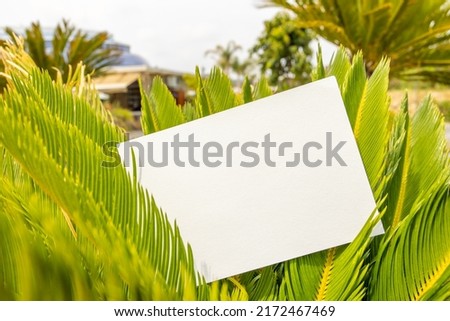 Flat card on tropical leaves outside for web background design. White isolated background. Abstract landscape background. Happy holiday. Web banner template. Natural beauty.