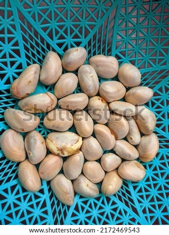 Jackfruit seeds in baskets.  Some beeches have sprouted.  Bright backgrounds and pictures.  Selective focus.