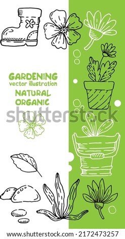 Vector illustration. Gardening. Vegetables. Bio. Natural.  Bright vector illustration.