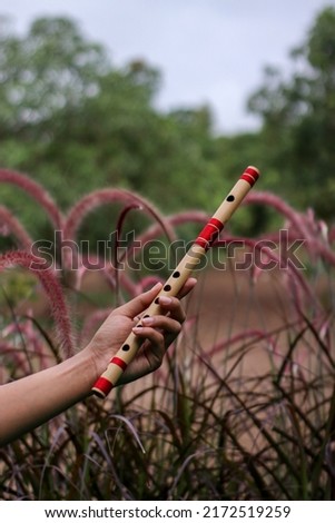 Indian Classical Flute with Natural Background