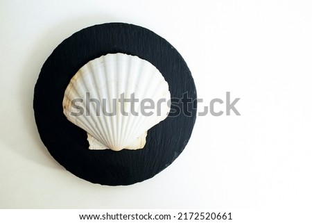 Huge sea shell on a round black stone tile, isolated on white backgroud 