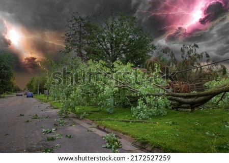 damaged city. storm damage aftermath Damaged tree by hurricane wind after storm.Tree down on the road. transformer on electric poles and a tree laying across power lines over road. Royalty-Free Stock Photo #2172527259