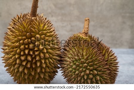 Two edible tropical fruits, known as "DURIAN" , lying on grey marble table. A close-up and selective focus photo of durian thorns. A large aperture setting photo. 