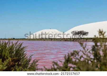 Heap of white salt in the Saltworks of Aigues-Mortes
