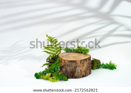 Tree stump surrounded by moss and fern leaves isolated on white background with palm shadows. Product display template.  Royalty-Free Stock Photo #2172562821
