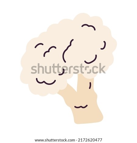 Isolated sketch of a cauliflower icon Flat design Vector Royalty-Free Stock Photo #2172620477