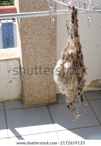 Closed up shot of a sunbird nest on a balcony. Photo Is selective focused and may contain noises and grains