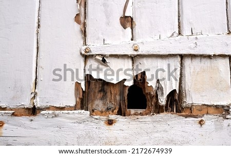 Old rotting wooden door example                               Royalty-Free Stock Photo #2172674939