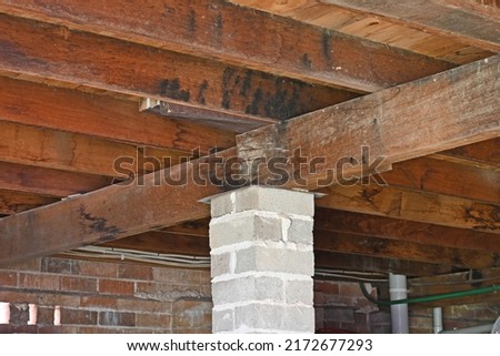 Timber floor bearers and joists under a house Royalty-Free Stock Photo #2172677293