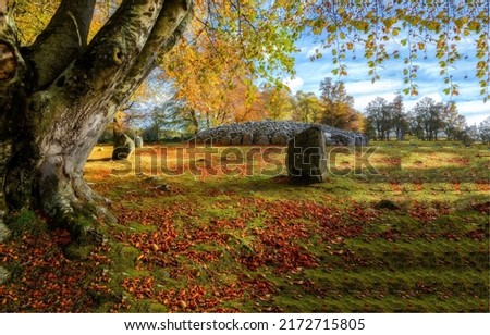 Autumn nature in autumn color. Color of autumn