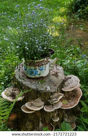 Vintage teapot with forget-me-nots flowers on the stumb with mushrooms in nature background, still-life