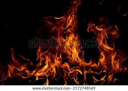 Fire flames isolated on black background. Fire burn flame isolated, flaming burning art design concept with space for text. Royalty-Free Stock Photo #2172748569