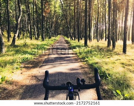 Front view bicycle road bicycle handles with forest tree background in curonian spit route way. Famous holiday cycling destination in Lithuania