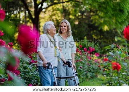 Adult granddaguhter supporting her senior grandmother when taking her for walk with walker in park in summer. Royalty-Free Stock Photo #2172757295