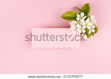 Pink rectangle blank card for text mockup with white apple tree flowers, green leaves soar on pastel pink background. Wedding floral background for advertising, branding identity, greeting card.