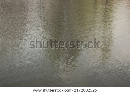 Tall trees reflecting in the small ripples on the surf of the pond water.