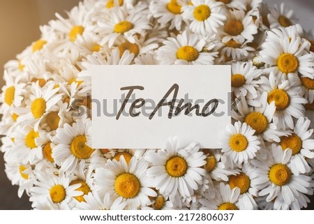 big beautiful bouquet of field daisies close-up, white greeting card with the inscription text I love you in spanish - te amo. sweet wish concept