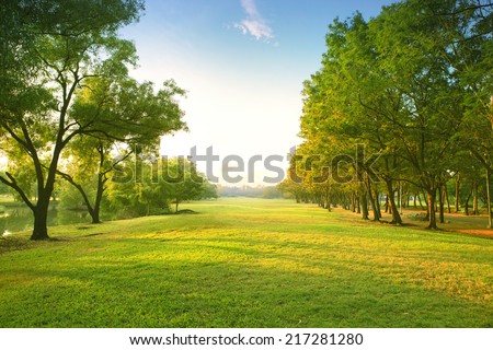 beautiful morning light in public park with green grass field  Royalty-Free Stock Photo #217281280