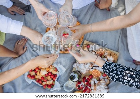 People clinking glasses with wine on the summer picnic