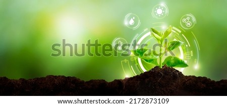Young plant with cyber display of technological smart farming 4.0-Smart Farming and Agriculture Innovation Concept. Royalty-Free Stock Photo #2172873109