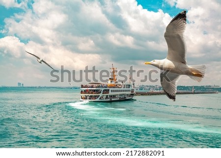 Seagulls flying in front of passenger ferry | Vapur sailing in the bosphorus in a cloudy day in Istanbul.  Popular  old transportation vehicle in Istanbul. Blurry cityscape at the distance. Royalty-Free Stock Photo #2172882091
