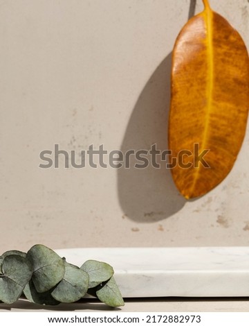 Marble set up for product photography with green and orange ficus leaf and marble tray