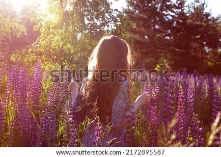 Long hair girl girl stands in a lupine field in the rays of the setting sun. Backlight, wild blue purple lupins. Summertime aesthetics