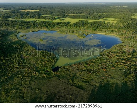 Lake in shape of a heart in forest. Freshwater Lakes. Water supply problems and water deficit, ecology and environmental. Morass and wetlands, aerial view. Mire Conservation. Bog, fen, mire landscape. Royalty-Free Stock Photo #2172898961