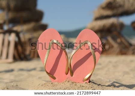 Stylish flip flops in sand on beach