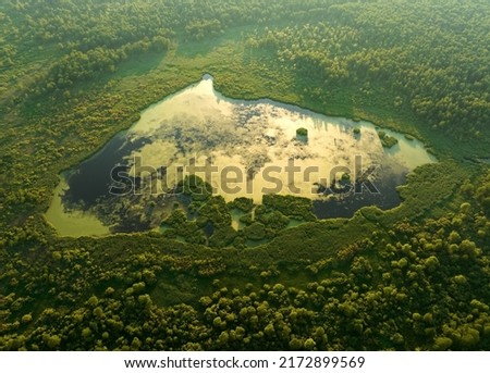 Lake in shape of a heart in forest. Freshwater Lakes. Water supply problems and water deficit, ecology and environmental. Morass and wetlands, aerial view. Mire Conservation. Bog, fen, mire landscape. Royalty-Free Stock Photo #2172899569
