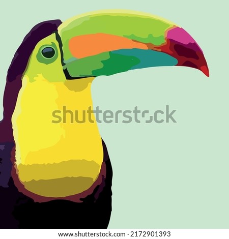 toucan bright colors, painting on the wall