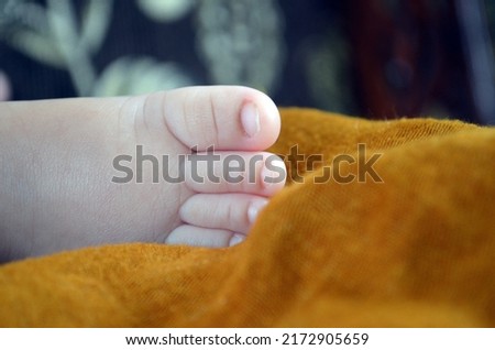Photo of newborn baby feet. close up