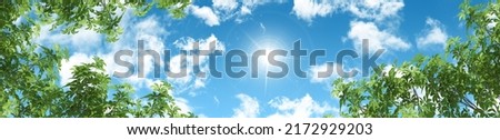 panoramic blue sky and green tree leaves. bottom up view sky landscape. wide horizontal view.