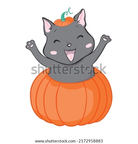Black cat in a Halloween pumpkin and ghost. Background is separate.