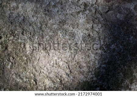 Gray stone background with fine moss and fine mud and vignetting. Backdrop