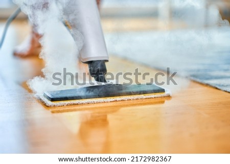 Picture of steam cleaner over floor or carpet Royalty-Free Stock Photo #2172982367