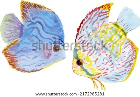 Two bright fish, depicted in watercolor