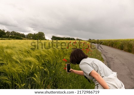 A girl with a phone photographs a wheat field with poppies