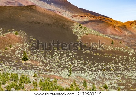 amazing landscape in El Teide national park 