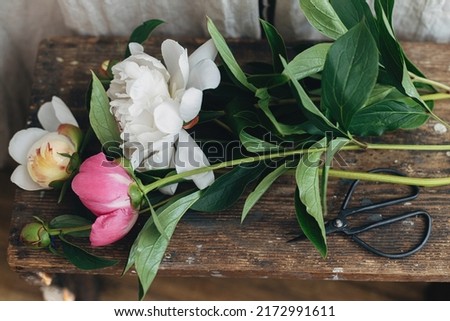 Beautiful peonies and scissors on rustic wooden background in boho room. Summer flowers arrangement and decor. Stylish pink and white peony flowers, moody image
