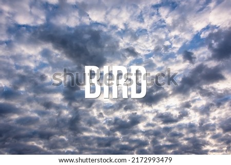 BIRD - word on the background of the sky with clouds.