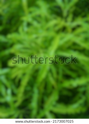 Defocused abstract background of green leaf